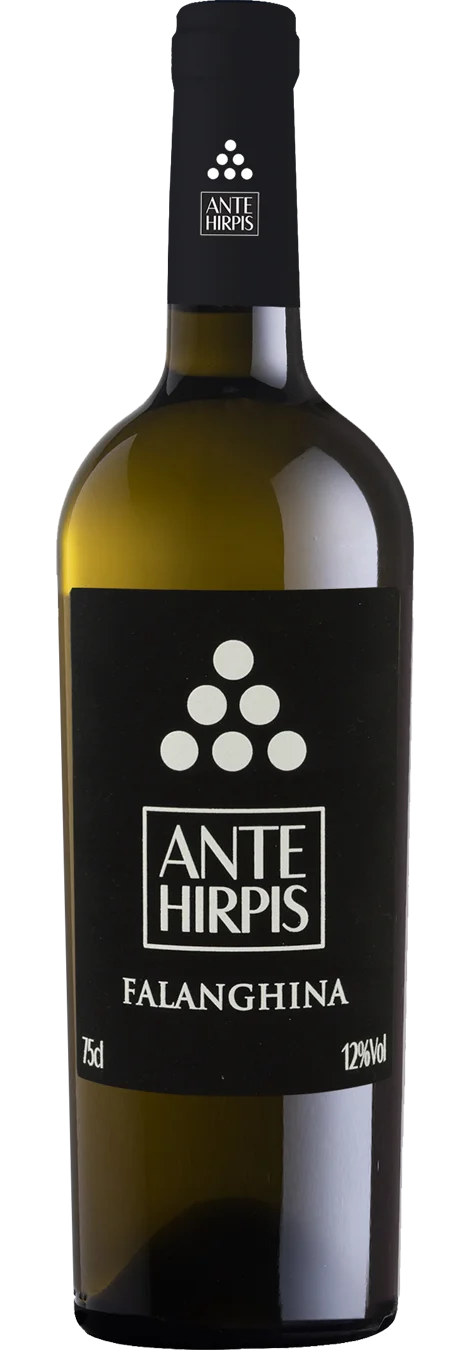 Bottiglia di Falanghina IGP – Ante Hirpis