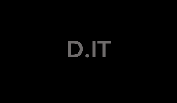 D.IT