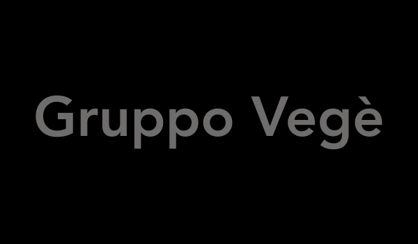 Gruppo Vega
