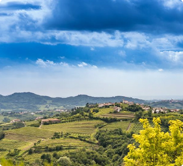 Paesaggio collinare con vigneti terrazzati, borgo storico sulla sommità della collina, vegetazione mediterranea e cielo azzurro con nuvole bianche.